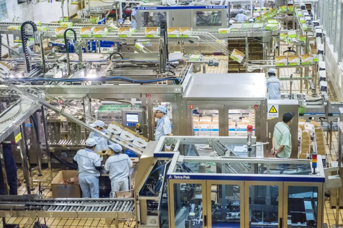 Busy food processing facility with equipment and workers engaged in packaging operations.