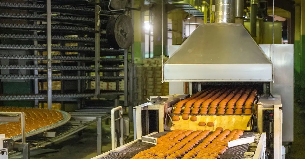 Industrial food processing line with conveyor belts carrying rows of baked goods beneath a large metal hood.