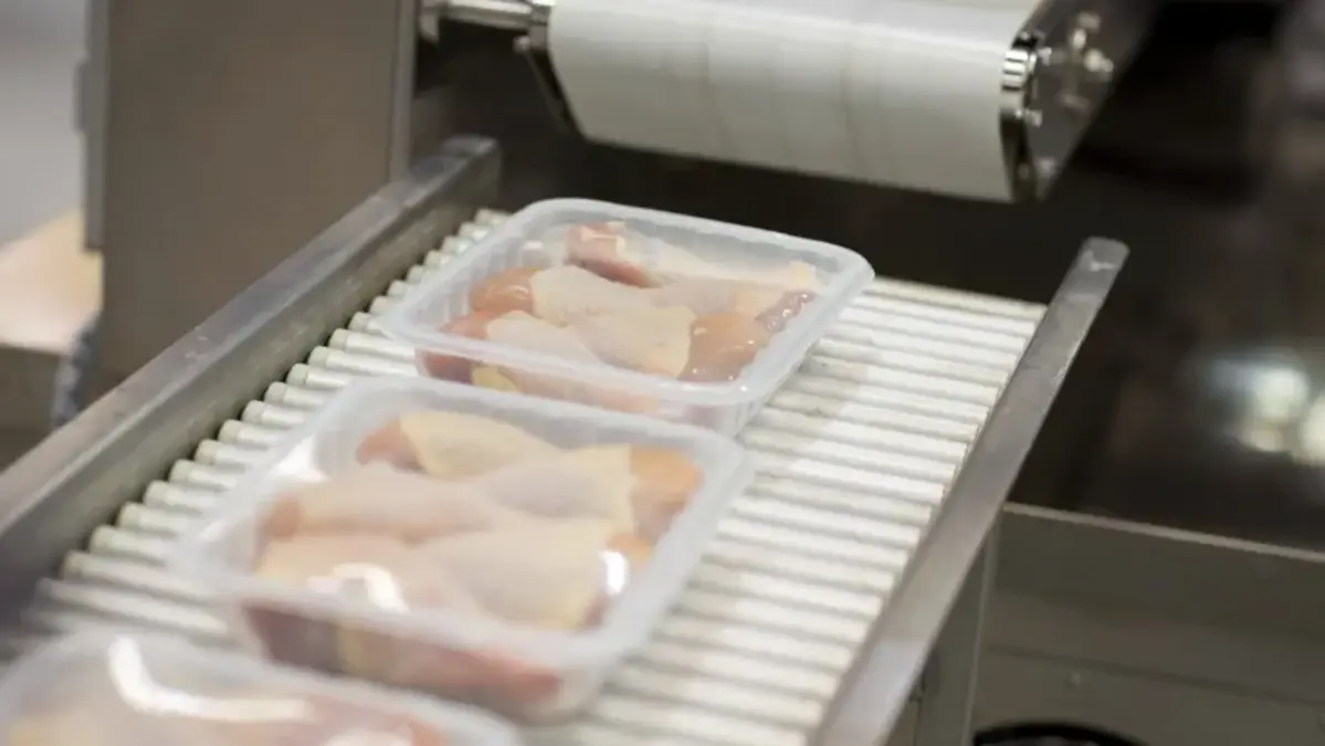 Clear plastic food trays with raw chicken move along a roller conveyor beneath a film-wrapping machine.