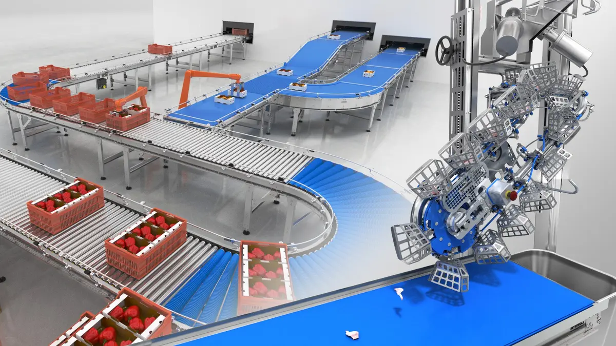 Conveyor belts transporting crates of produce with automated machinery in a food production setting.